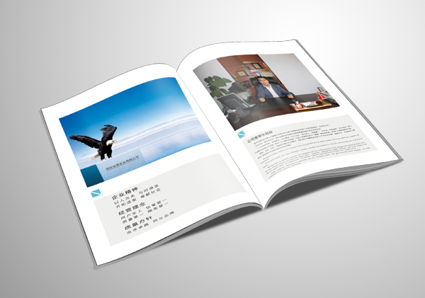 怎樣才是一本好的畫冊？