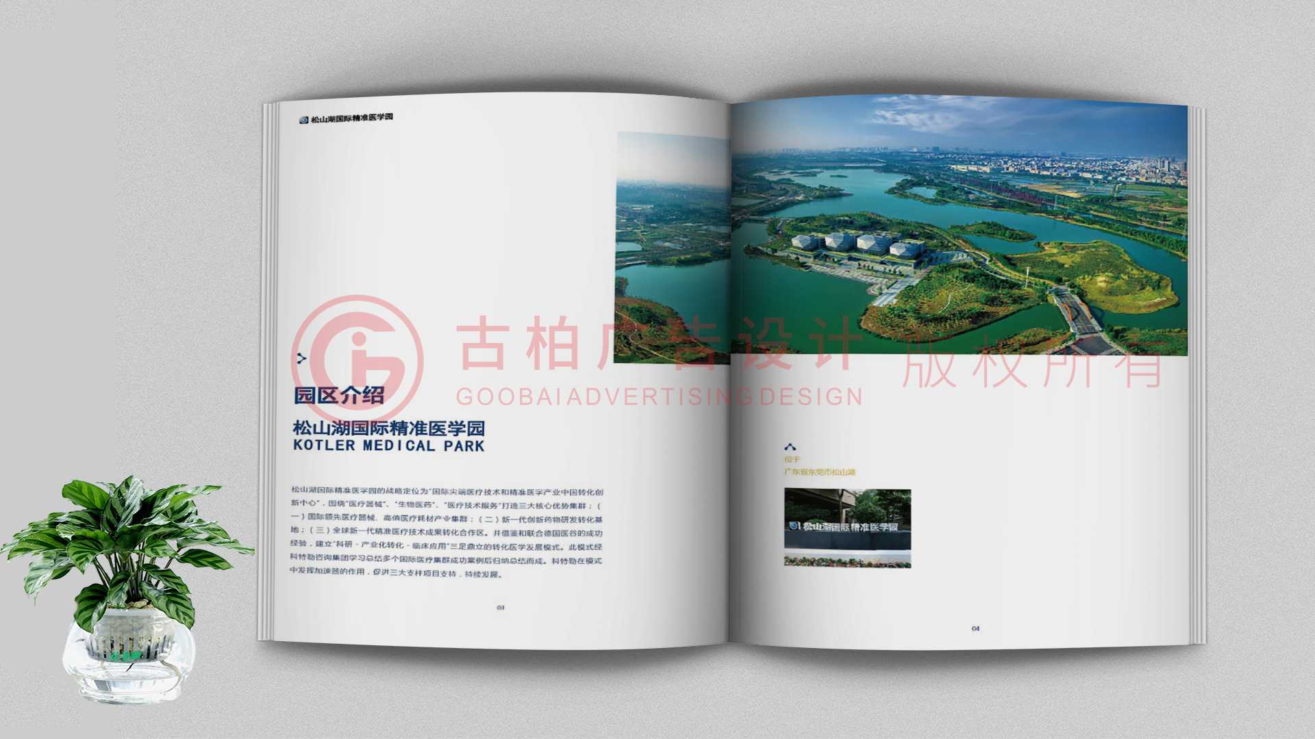 一本聚會紀念冊該如何通過排版來提升整體的美觀性？