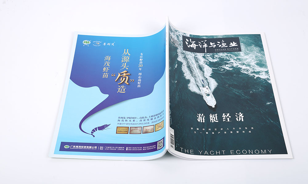 怎么設計宣傳冊怎么要多少錢？